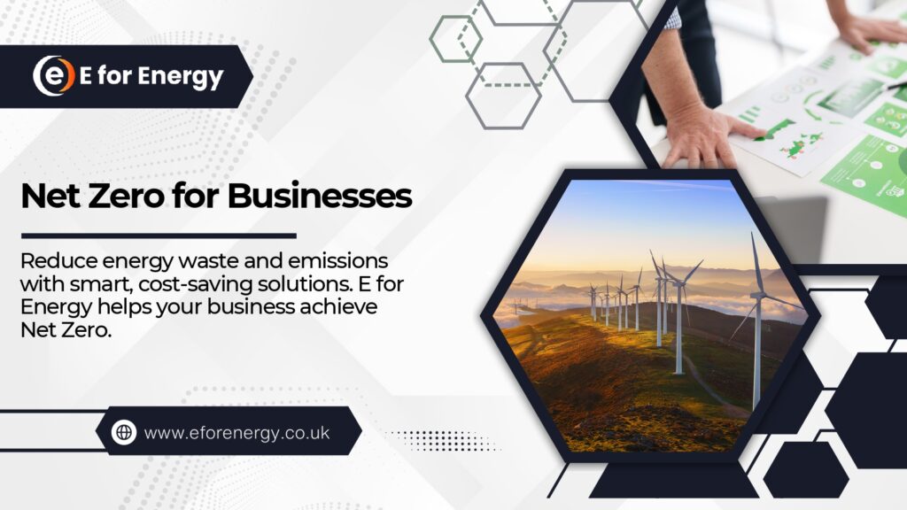 net zero for businesses