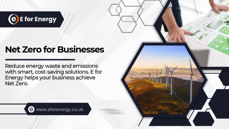 net zero for businesses