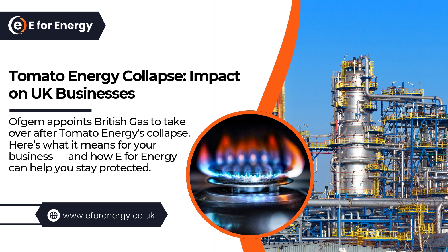 Tomato Energy collapse