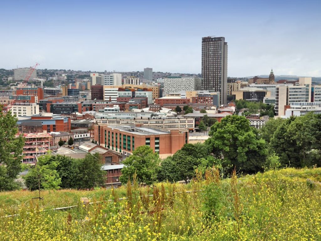 Energy Support for Businesses in Sheffield - E for Energy