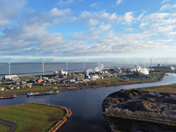 istockphoto 1460459631 612x612