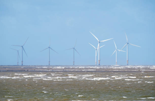 istockphoto 898336528 612x612