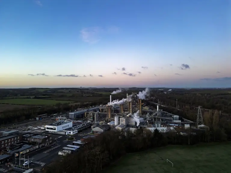 wmremove transformed (1)